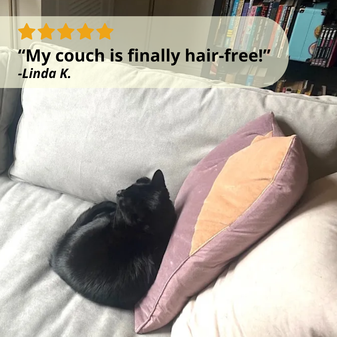 The Reusable Pet Hair Removal Mitt That Actually Works